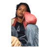 Gokul 12