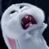 Snowball triste/preocupado 🐰 8