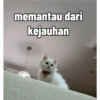 Yukki - kucing tengil pt.1 23