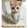 Cute cats Hindi 5