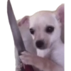 Mascotas Rammdom 6