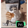 Claro y la fiscalia 25