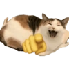 Kucing lucu 16