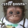 ESTOY BONITA?
