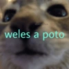 Memes Respuestas 4 10