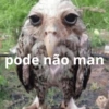 @sono_petrikov 29