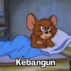 Meme Jerry Tikus 🐭 11