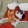 Snoopy  16