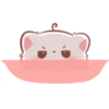 Kucing gemoy 13