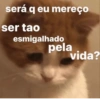 Nao 18