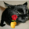 Реакции любви 🥰 8
