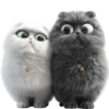 GATITOS REACCION 12