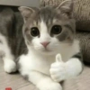 Nao 9