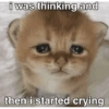 Meme cringe horor😭 10