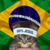 Memes brasil/Copa América  9
