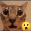 d@corderito64_