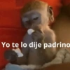 Memes 48 20