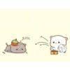 Peach and Goma Wallpaper 9