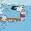 Snoopy  29