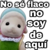 No sé flaco no soy de aquí