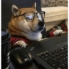 Animales Pa' ti  9