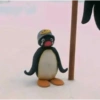Pinguino nojado 15