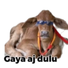 Meme 12