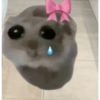 Hamster triste 9