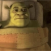 Adesivos sem contexto (Shrek) 💚📖 6