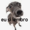 MEMES TOP 15 7