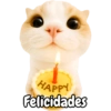 Frases de gatito#1 💬🐱 11