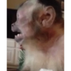 Monkys 3000 🐒 5