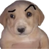 MEMES RANDOM PARTE 80 11