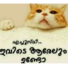 Malayalam baby's 5