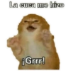📱🤣STICKERS PAL GRUPO📱🤣 5