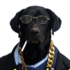 Changuito 25