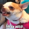 🕶 Reação Viral Tiktok Duplinha 29