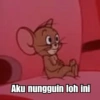 Tom & Jerry 5