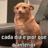 DEBOCHE DE MUITÃO 12