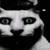Más gatos tonotos 18