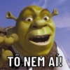 Shrek memes 😂 13