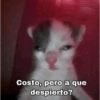 Memes 48 11