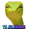 Rayaaaaane 24