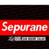 KOCAK PLESETAN 15