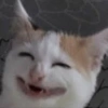 Meme cringe horor😭 13