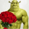 Adesivos sem contexto (Shrek) 💚📖 11