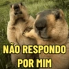 MEMES QUE DIZEM TUDO 😌 15