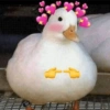 Reações + patinhos 🦆 7
