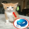 Реакции любви 🥰 5