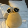 SAD POU 8
